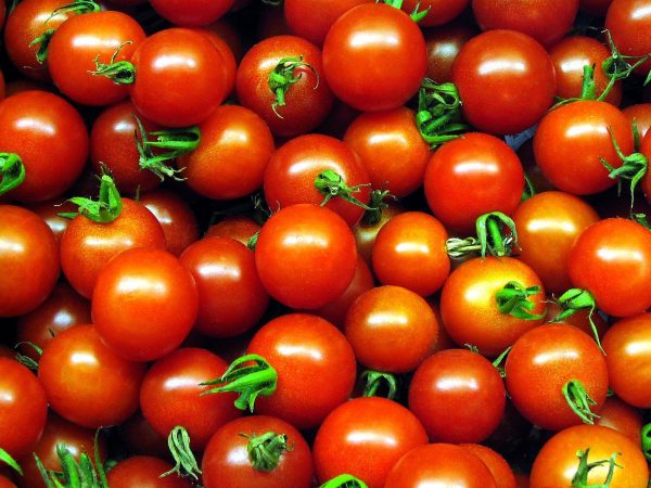 Cherry Tomato